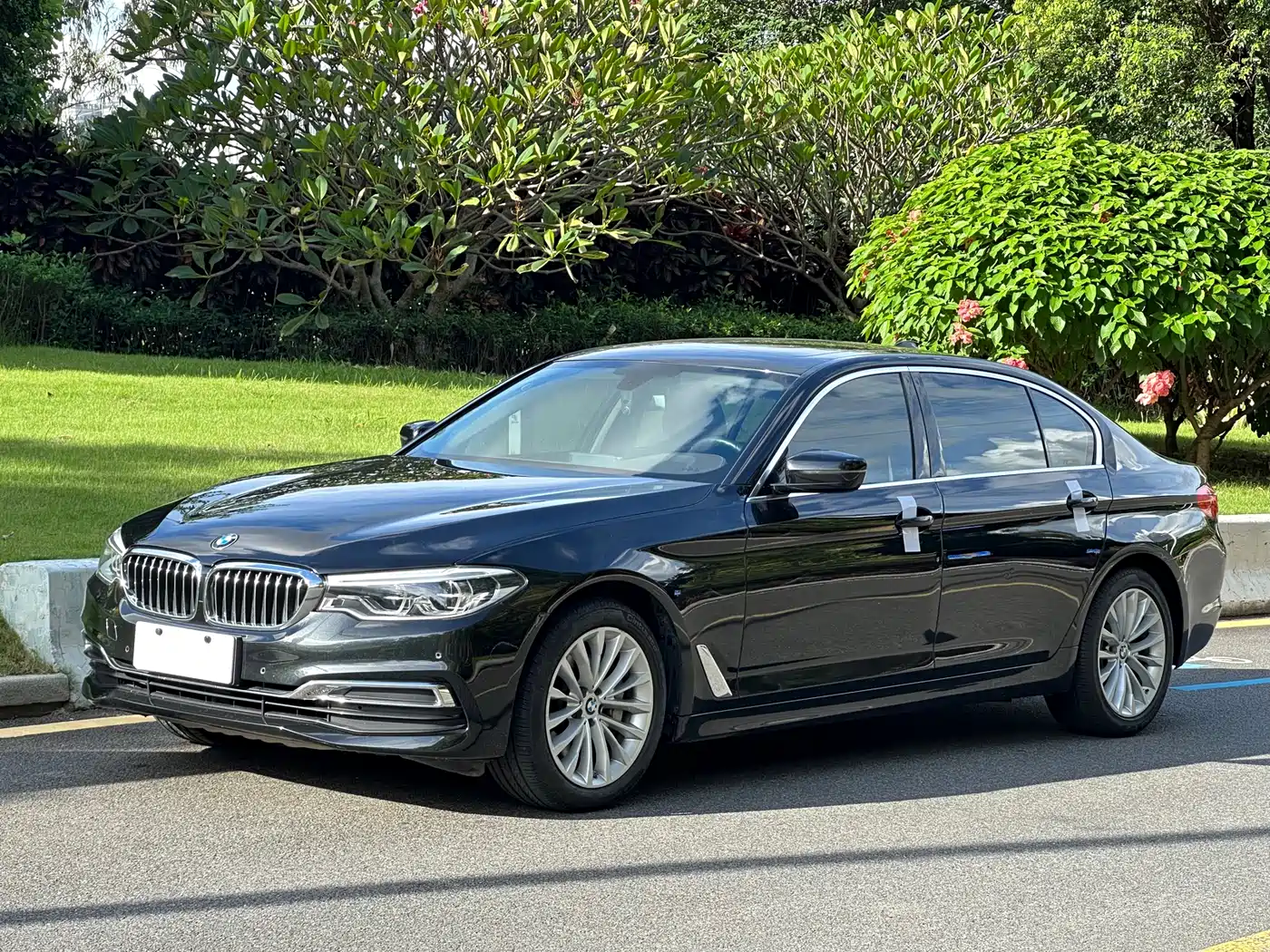 BMW 5 Series 2020 530Li Leading Luxury Package