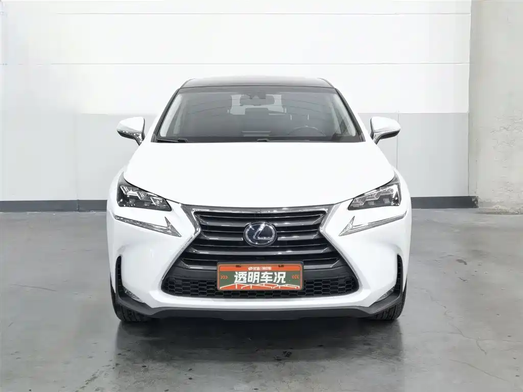 Lexus NX 2015 300h AWD F SPORT фото 3