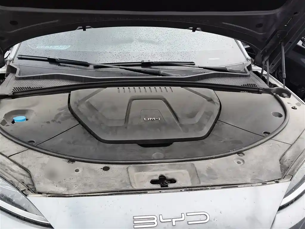 BYD Song PLUS PHEV 2024 Glory Edition DM-i 110km Flagship фото 20