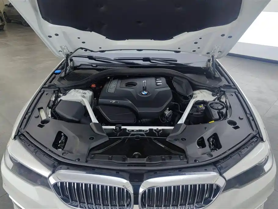 BMW 5 Series 2019 530Li Leading Luxury Package фото 10