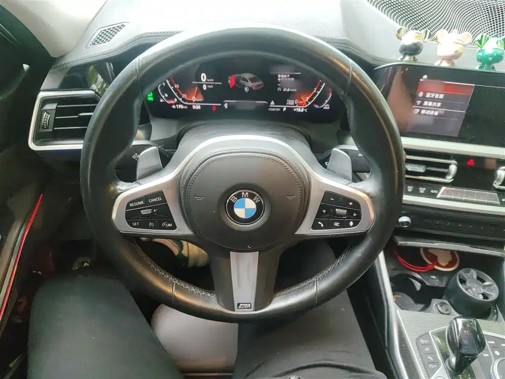 BMW 3 Series 2021 325Li M Sport Night Edition фото 17