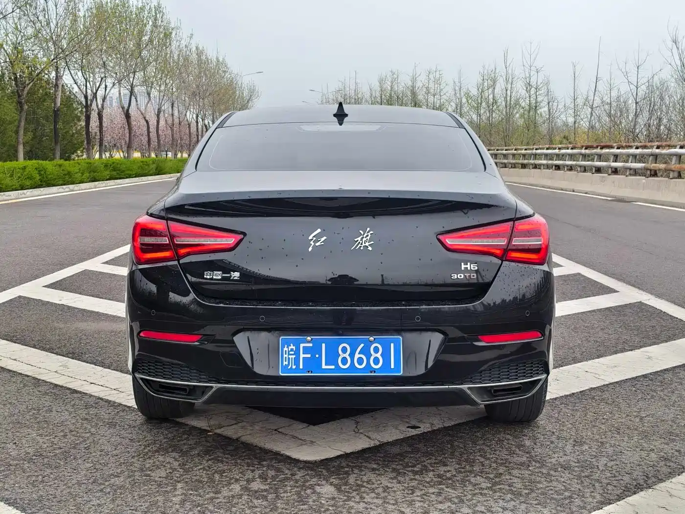 Hongqi H5 2022 Classic Facelift 1.5T DCT Flag Rhythm Edition фото 11
