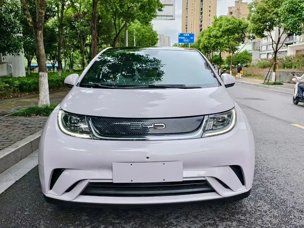 BYD Dolphin 2021 Model 405km Fashion Edition фото 2