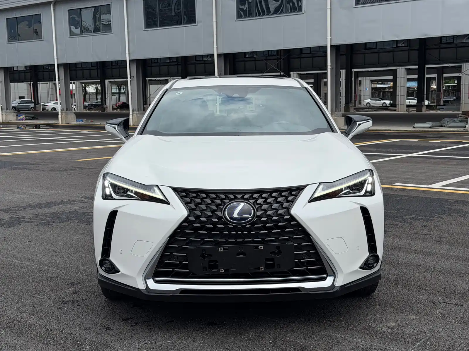 Фото 2 - Lexus UX Electric