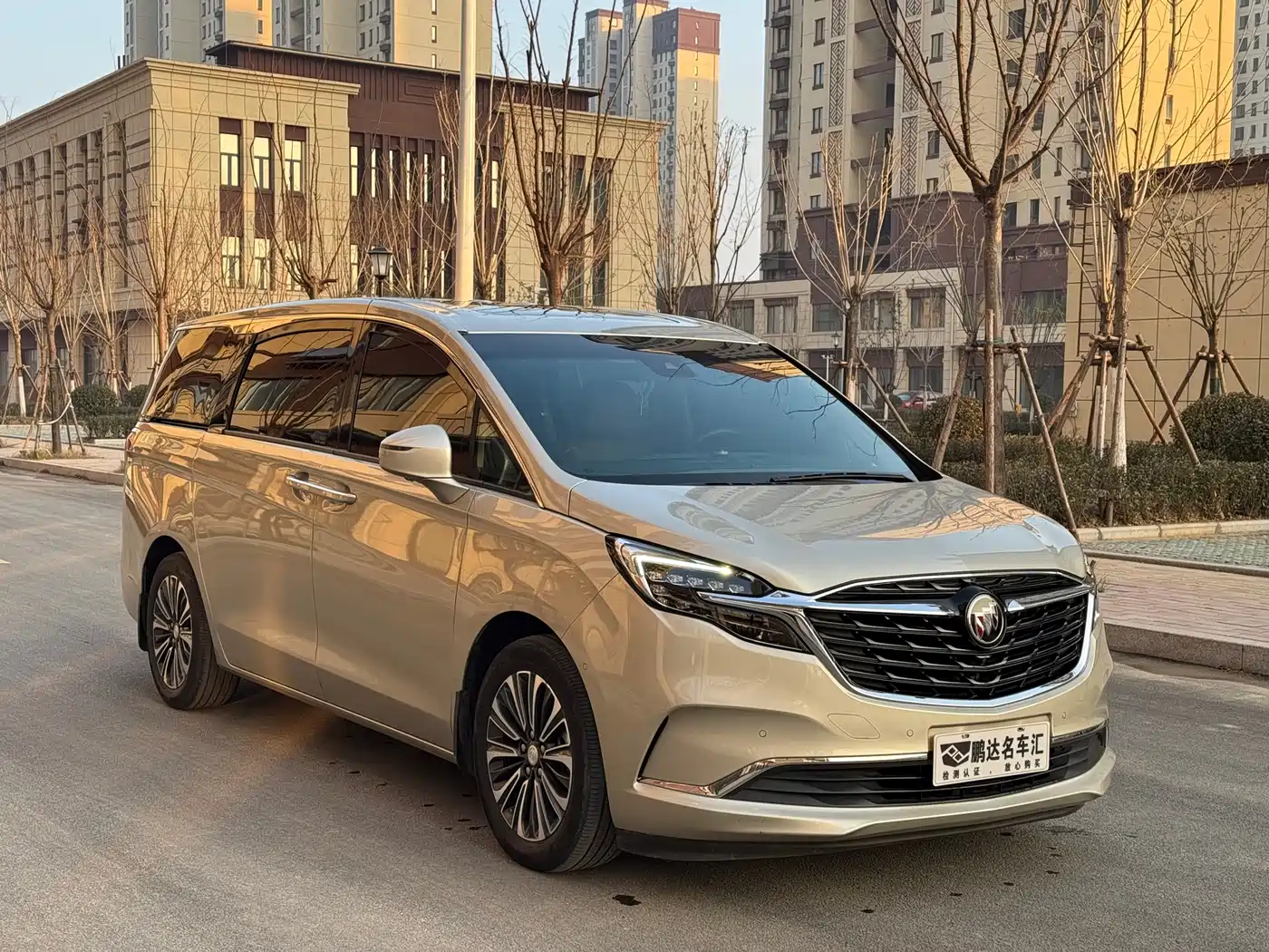 Buick GL8 2021 ES Landlord 653T Luxury фото 3