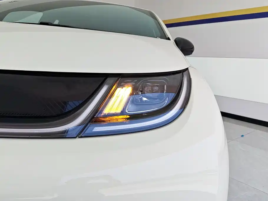 BYD Dolphin 2026 2025 420km Freedom Edition