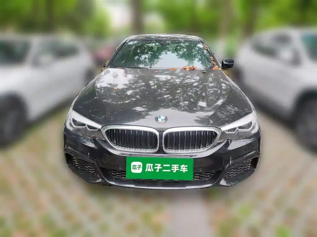 BMW 5 Series 2020 525Li M Sport Package фото 4