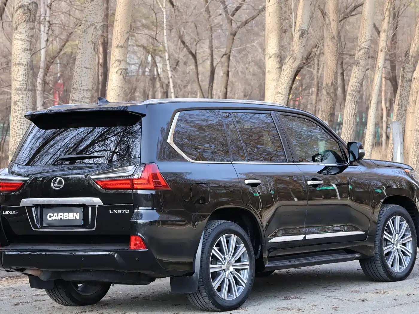 Lexus LX 2016 570 Luxury Premium Edition фото 12