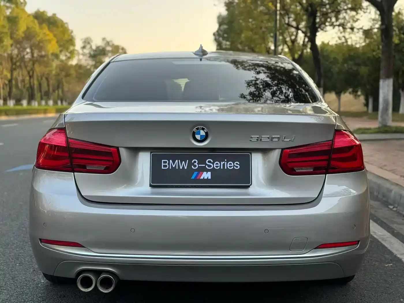 BMW 3 Series 2018 320Li Fashion Style фото 8