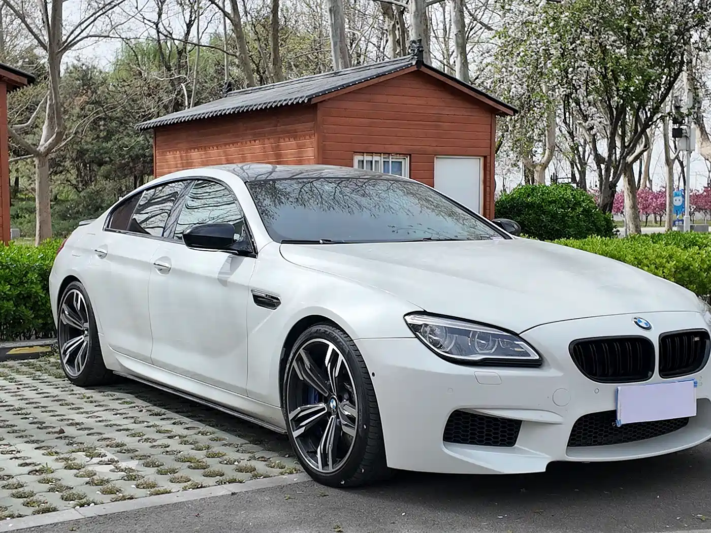 BMW M6 2015 M6 Gran Coupe фото 8