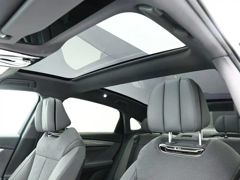 Voyah Auto VOYAH Zhuiguang 2024 PHEV AWD Ultra Long Range Flagship фото 13