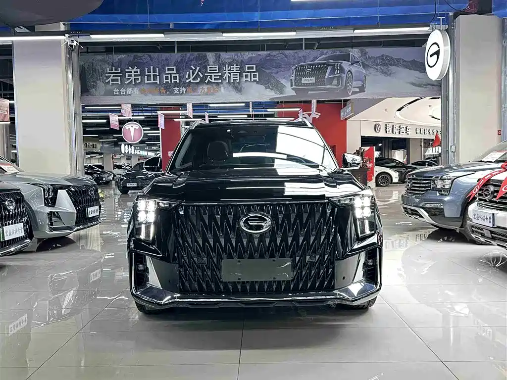 GAC Trumpchi Trumpchi GS8 2022 Dual Engine Series 2.0TM 4WD Flagship Edition (6-Seater) фото 3