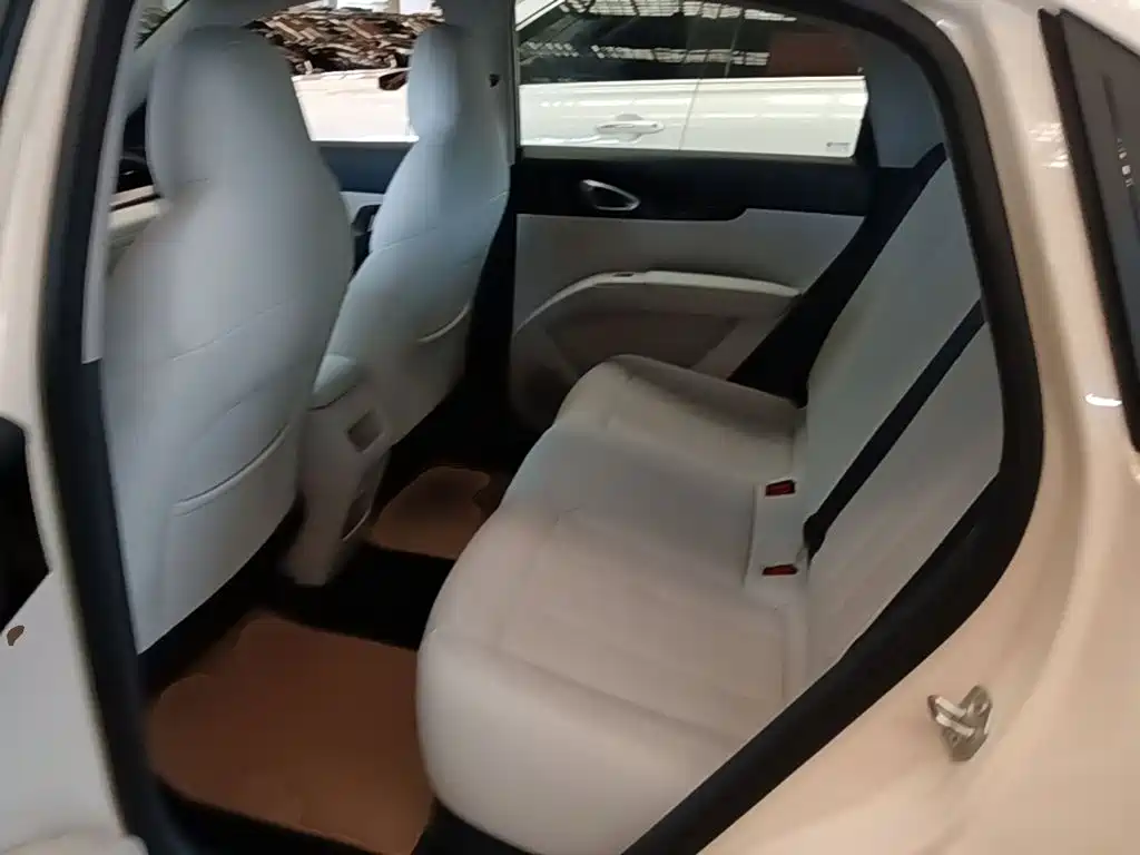 Geely Galaxy Starry Wish 2026 2026 Edition 410km Freedom Version