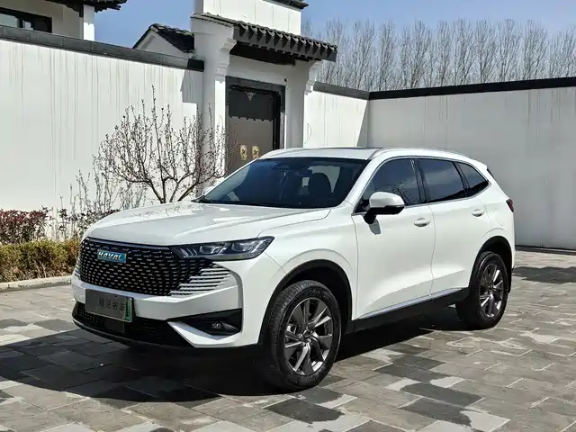 haval h6-new-energy
