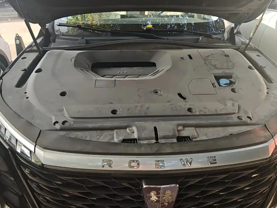 Roewe RX5 MAX 2022 2022 2.0T Auto Promising Honor Edition