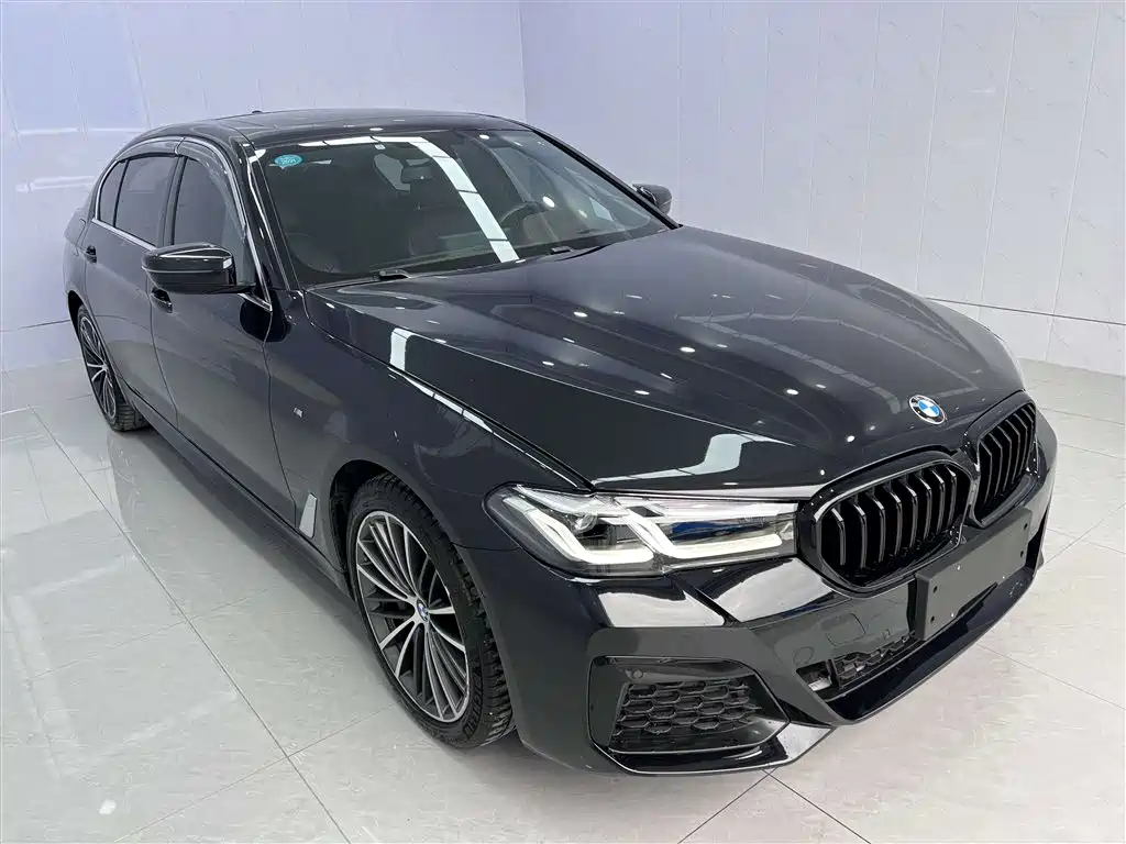 BMW 5 Series 2020 Model 530Li Executive M Sport Package фото 6