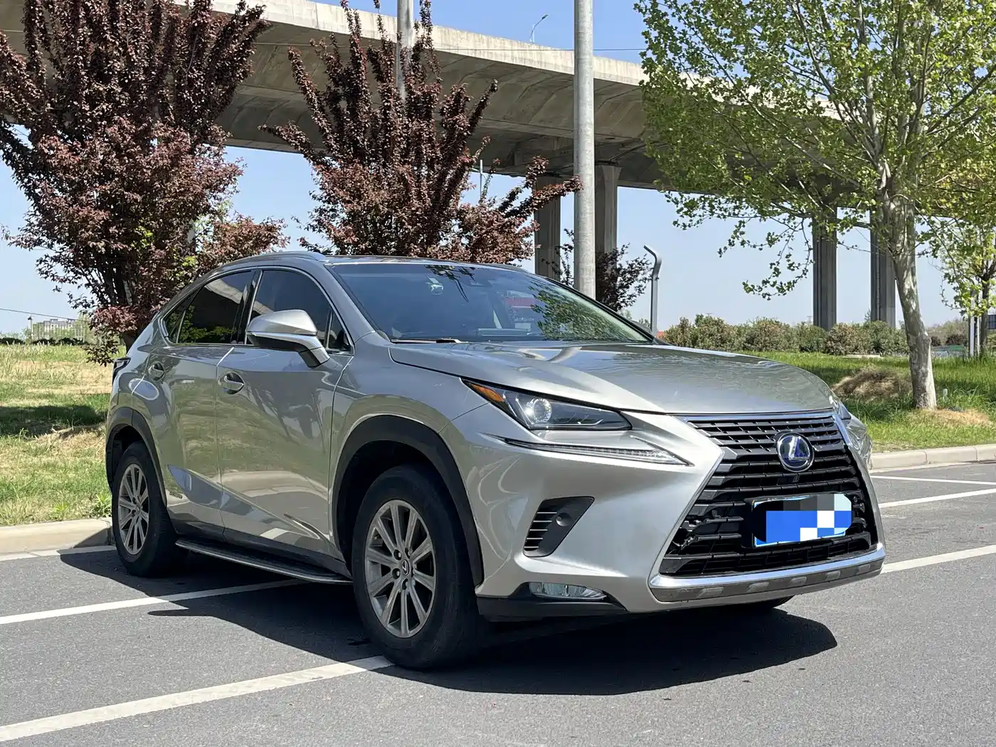 Lexus NX 2018 Model 300h FWD Fengshang Edition China V