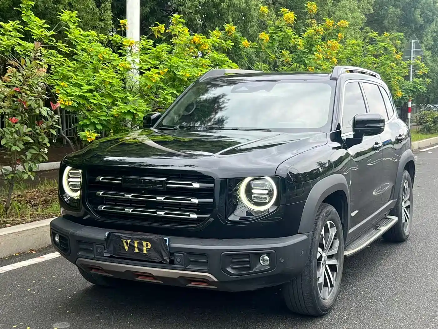 Haval Big Dog 2021 1.5T DCT 2WD Labrador Edition