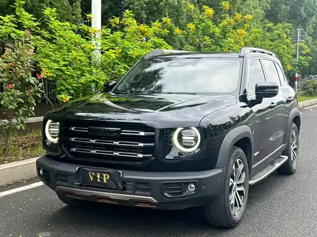 Haval Big Dog 2021 1.5T DCT 2WD Labrador Edition
