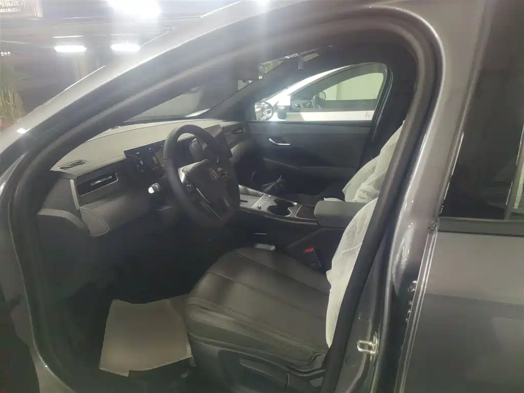 BYD Qin PLUS 2026 DM-i Smart Edition 128KM Progressive фото 15
