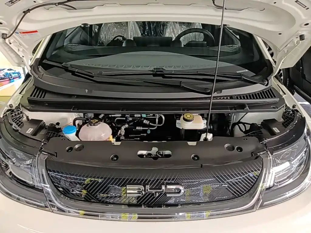BYD Dolphin 2026 2025 420km Freedom Edition