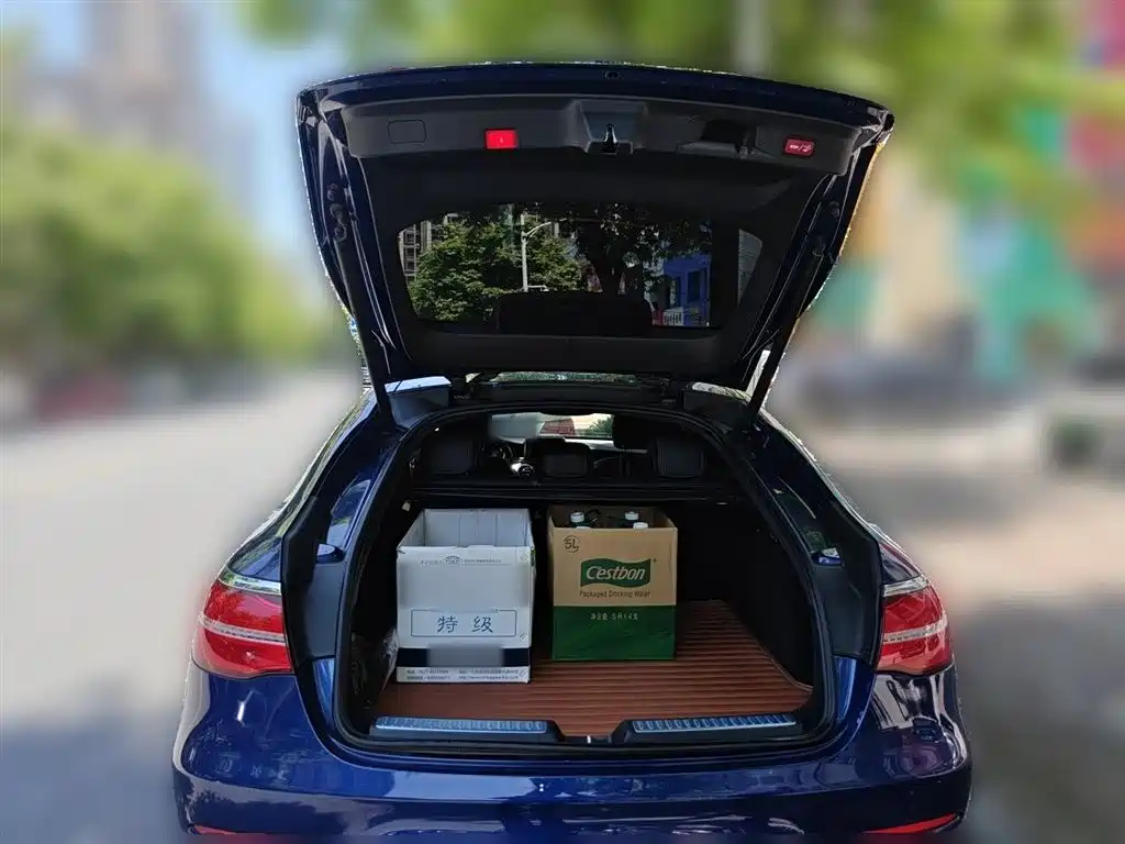 Mercedes-Benz GLC Coupe 2017 GLC 260 4MATIC Coupe SUV фото 10