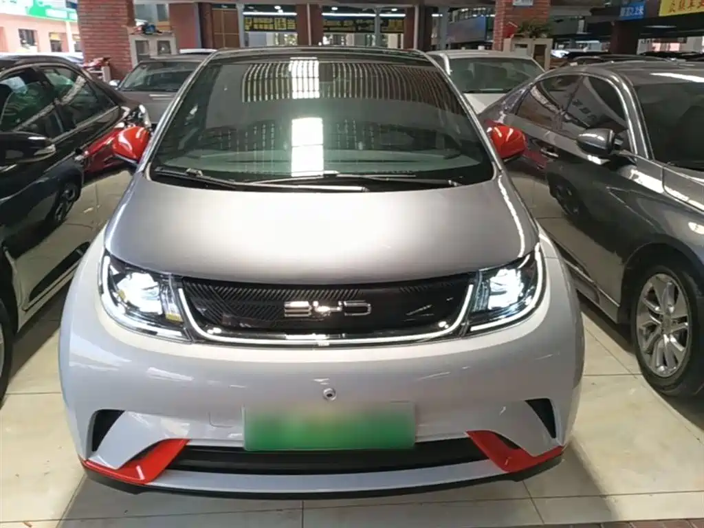 BYD Dolphin 2021 Model 405km Fashion Edition фото 3