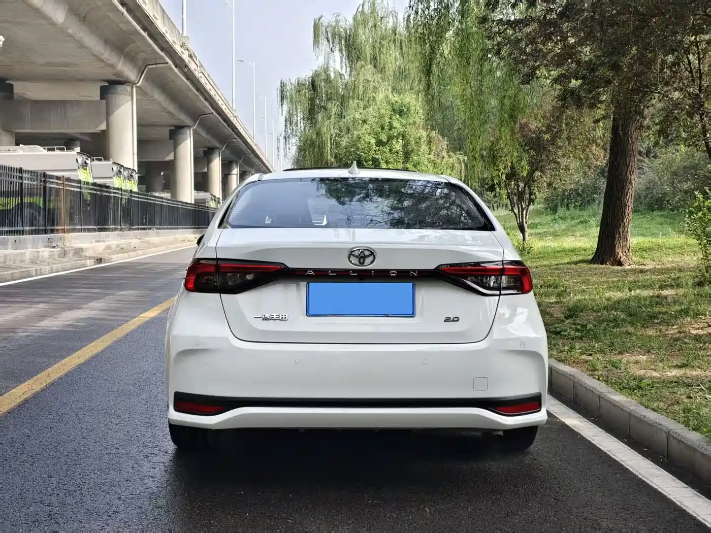 TOYOTA ASIAN LION