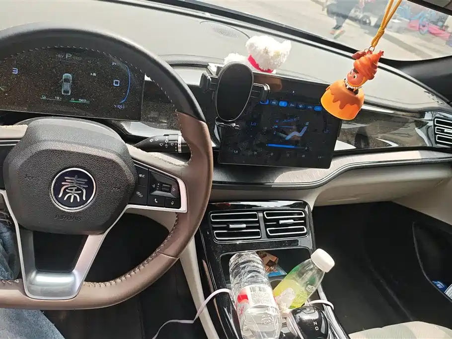 BYD Qin PLUS 2024 Glory Edition DM-i 55KM Leading фото 12