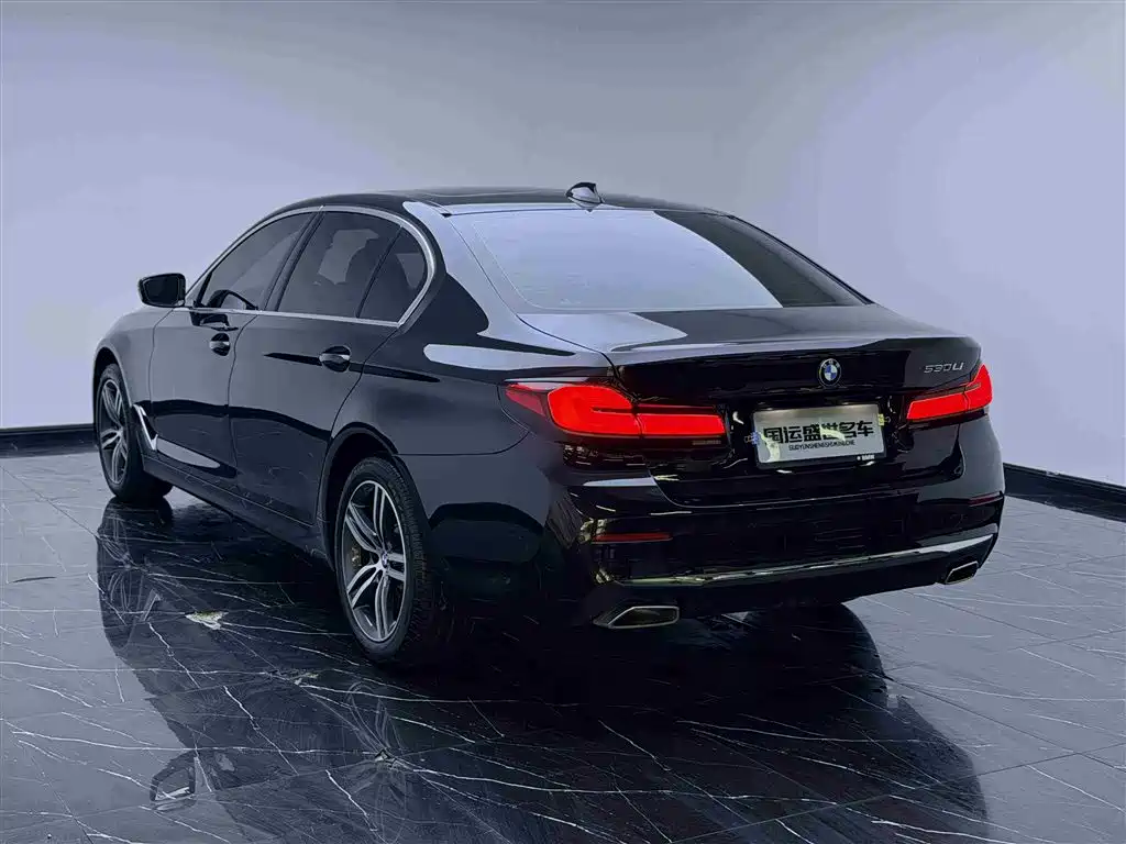 BMW 5 Series 2021 530Li Leading Luxury Package фото 6