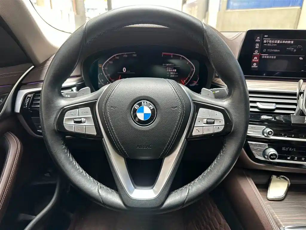 BMW 5 Series 2020 530Li xDrive Luxury Package фото 12