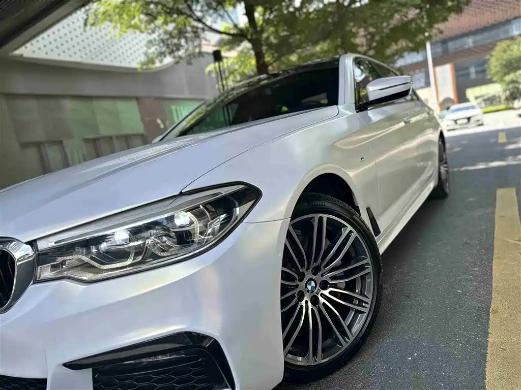 BMW 5 Series 2019 530Li Leading M Sport Package фото 12