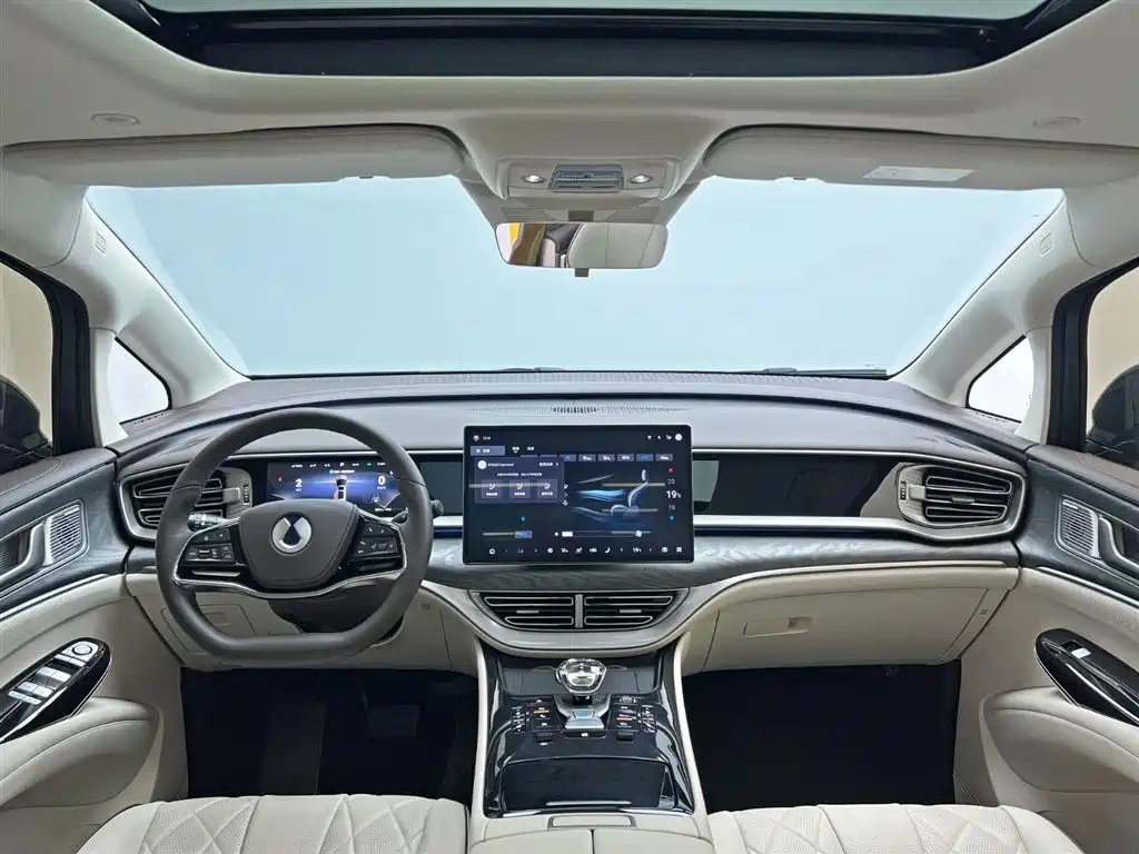 Denza D9 2024 DM-i 980 AWD Premium фото 25