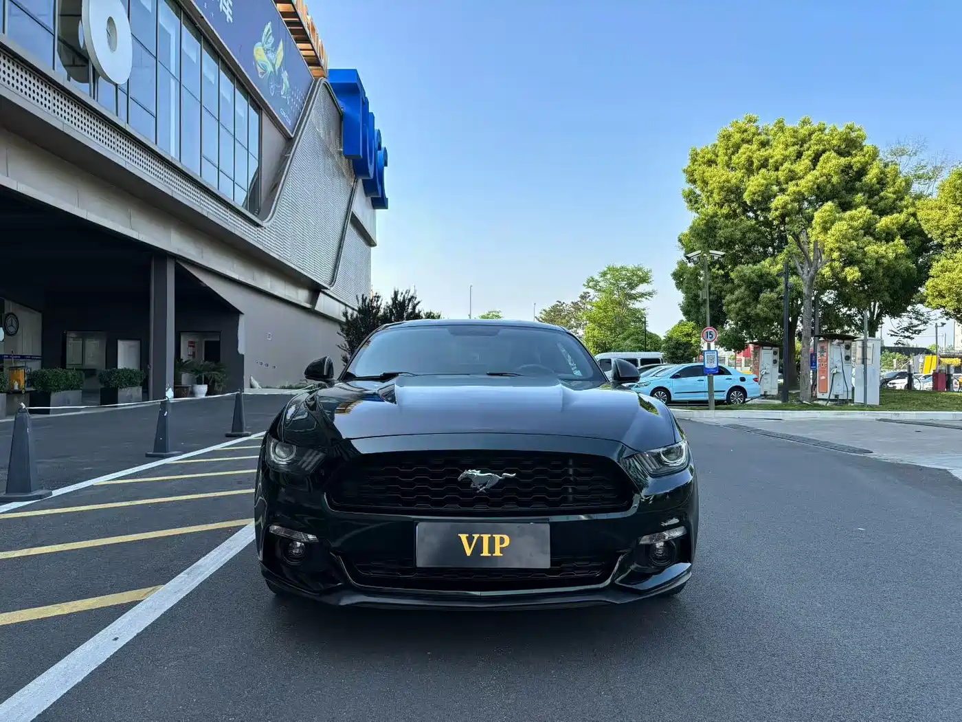 Ford Mustang 2015 2.3T Sport Edition фото 2