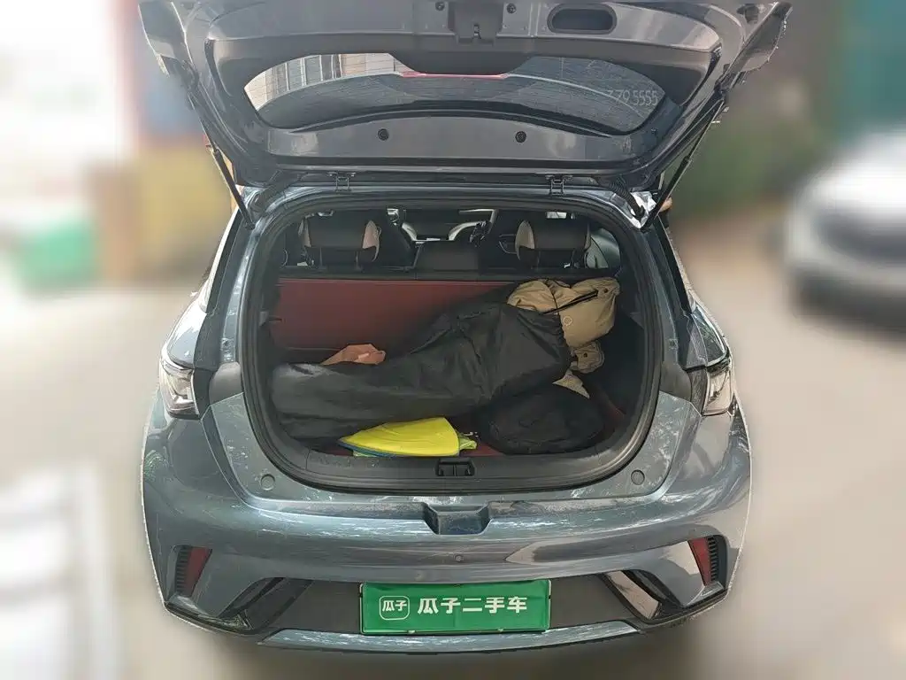 BYD Dolphin 2026 2025 420km Freedom Edition