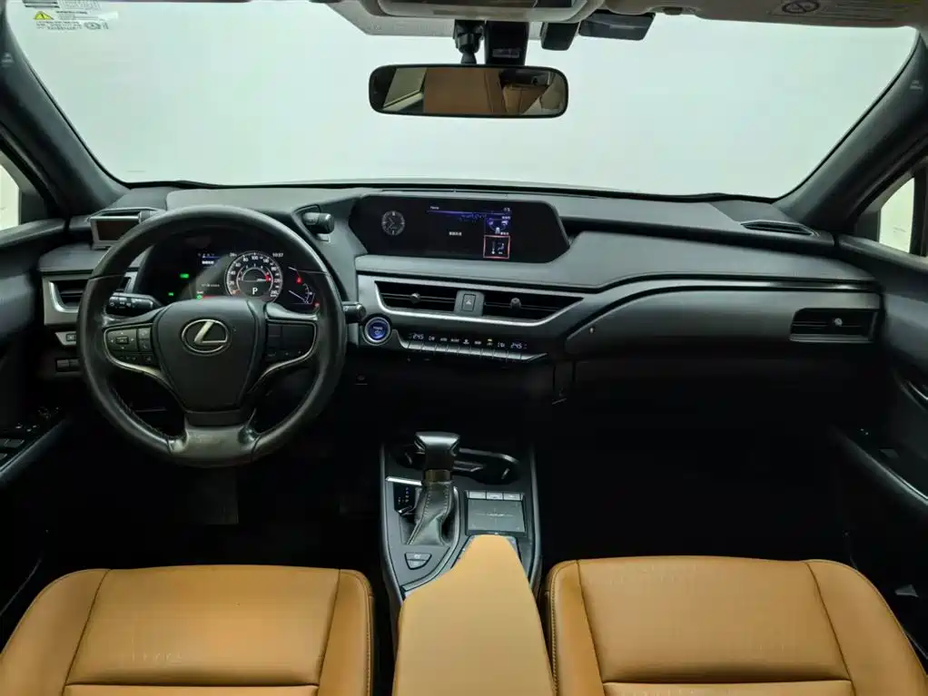 Lexus UX 2020 260h Explore Cool Edition фото 4