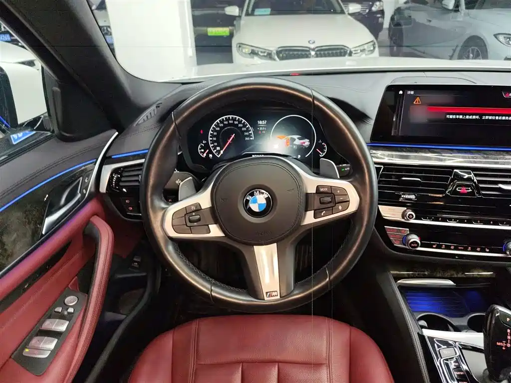 BMW 5 Series 2019 530Li Leading M Sport Package фото 11