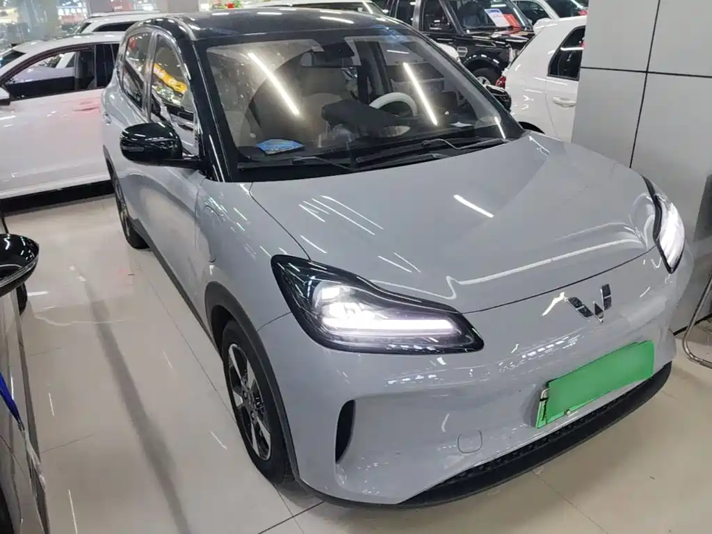 Фото 4 - Wuling Motors Wuling Binguo PLUS