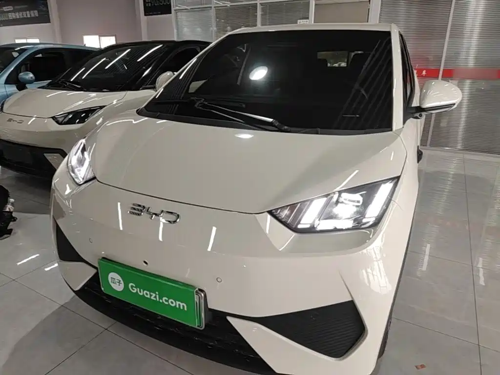 BYD Seagull 2025 Smart Drive Edition 305km Freedom Version