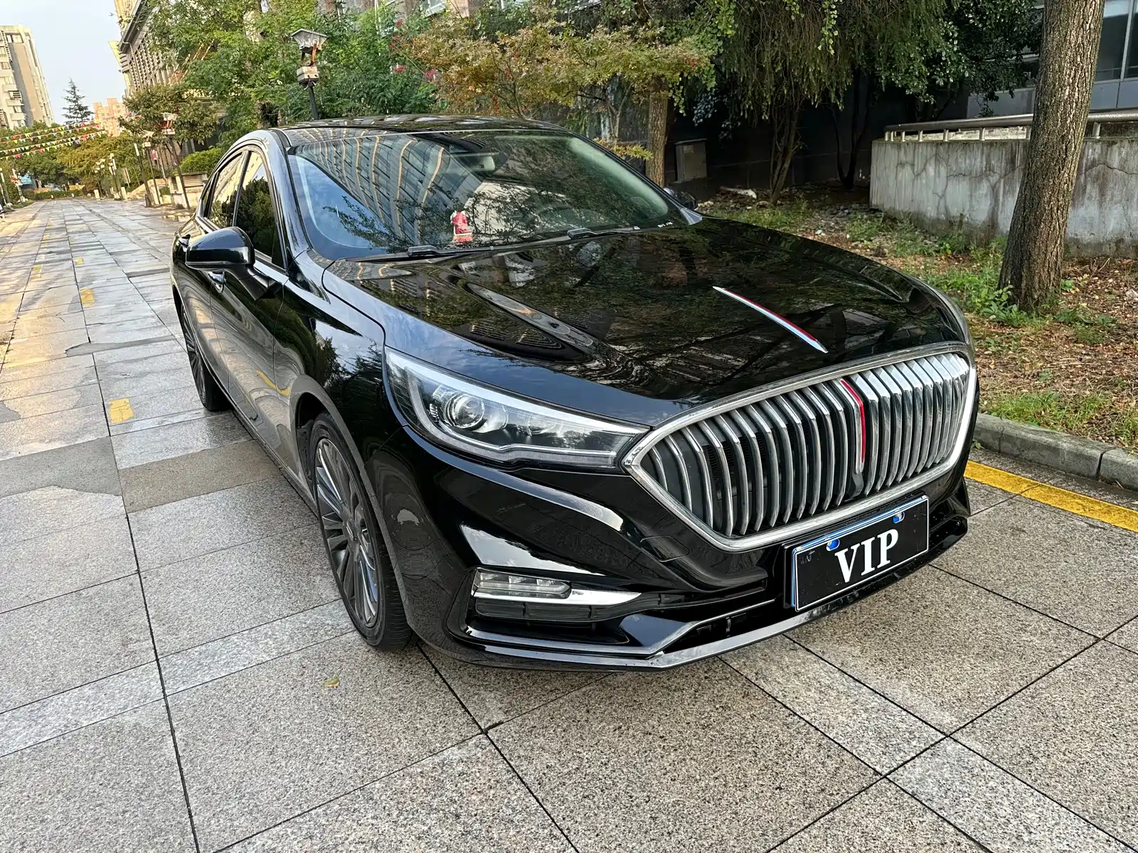 Фото 3 - Hongqi H5