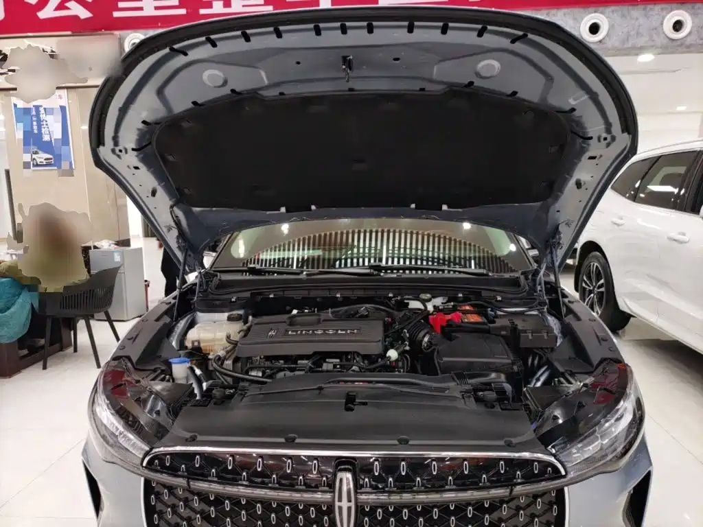 Lincoln Z 2023 2022 Model iEnjoy Luxury Edition