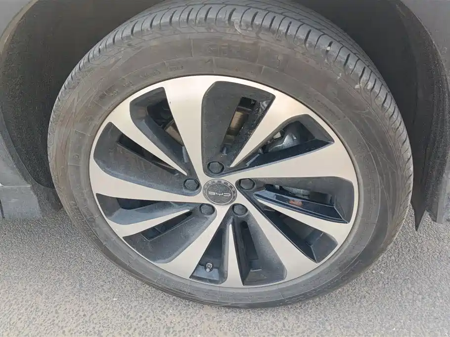 BYD SONGJIANG NEW ENERGY