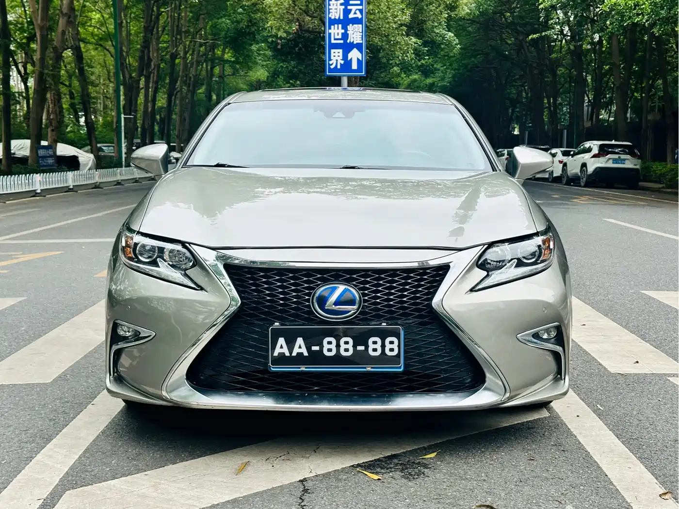 Lexus ES 2015 300h Comfort Edition фото 2