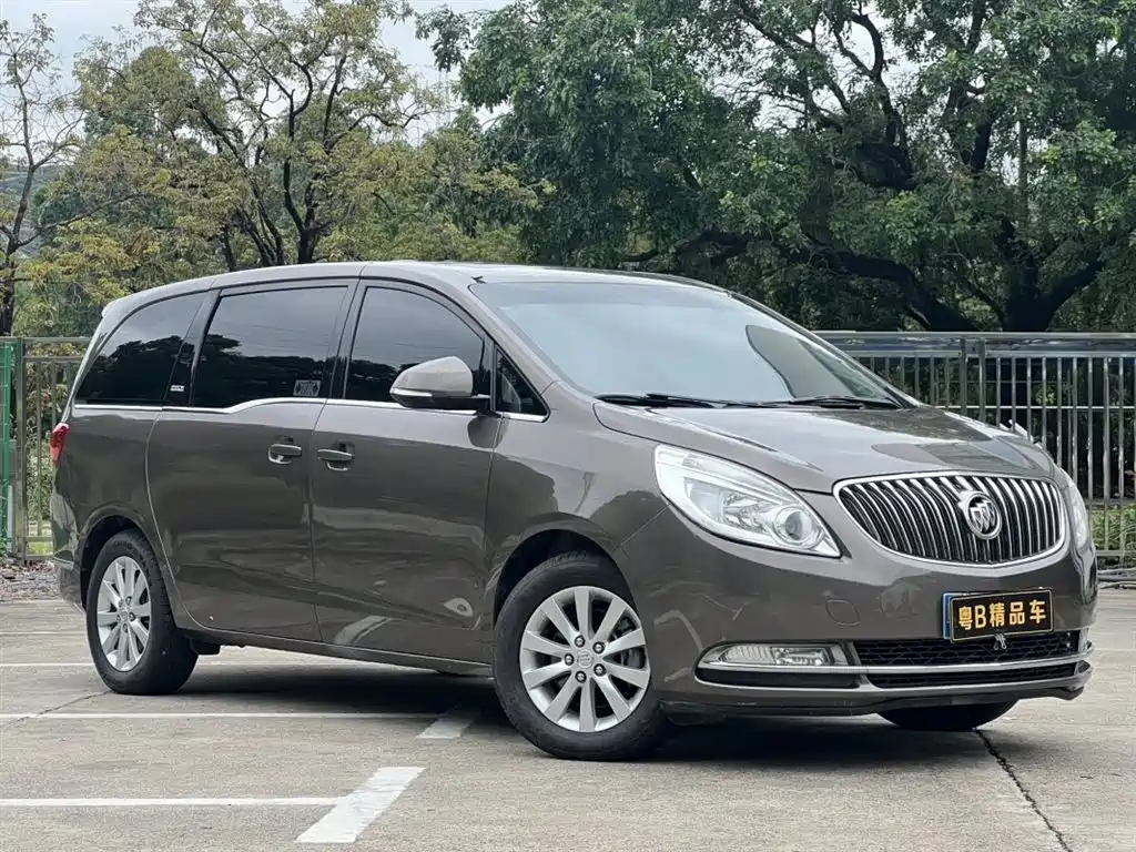 Buick GL8 2014 2.4L CT Luxury Business Comfort фото 3