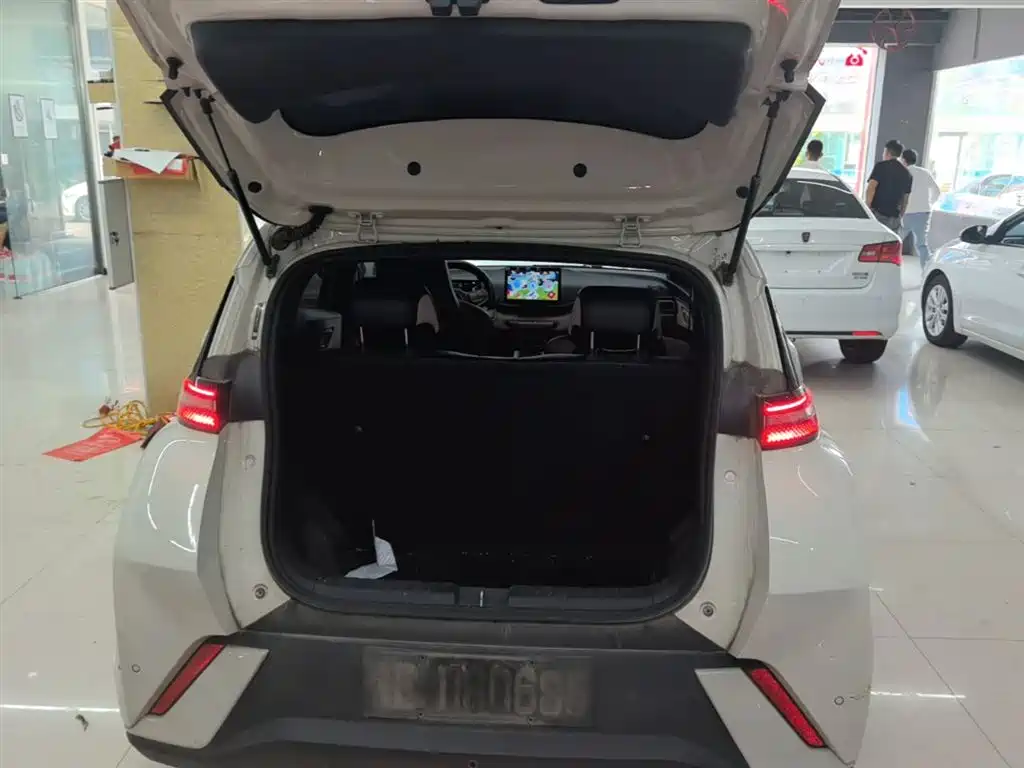 BYD Seagull 2024 Glory Edition 305km Vitality Edition фото 19