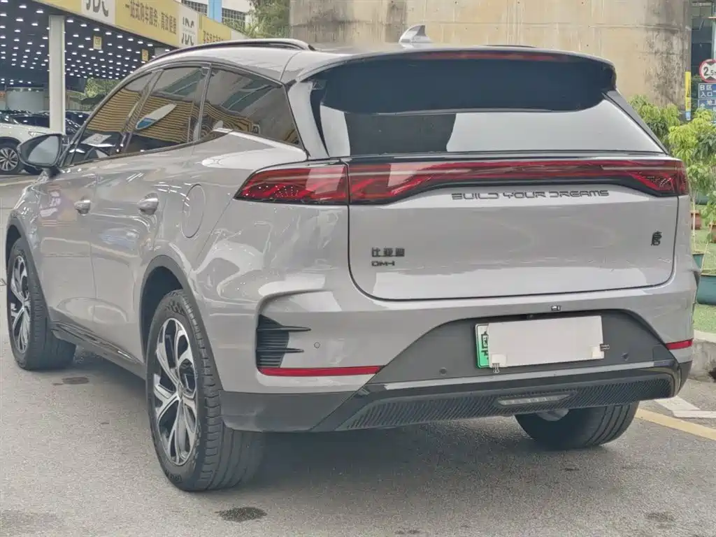 BYD Tang New Energy 2025 DM-i 115KM Flagship фото 9
