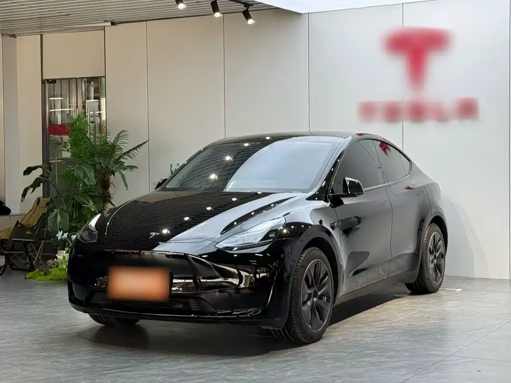 Tesla Model Y 2022 Facelift Rear-Wheel Drive Version