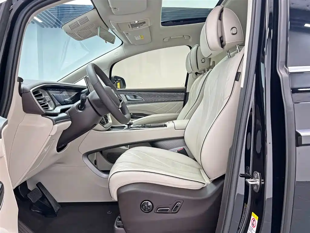 Denza D9 2024 DM-i 980 AWD Premium фото 15