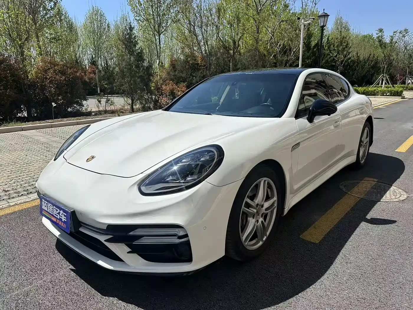 Porsche Panamera 2013 Panamera 4 Platinum Edition 3.6L