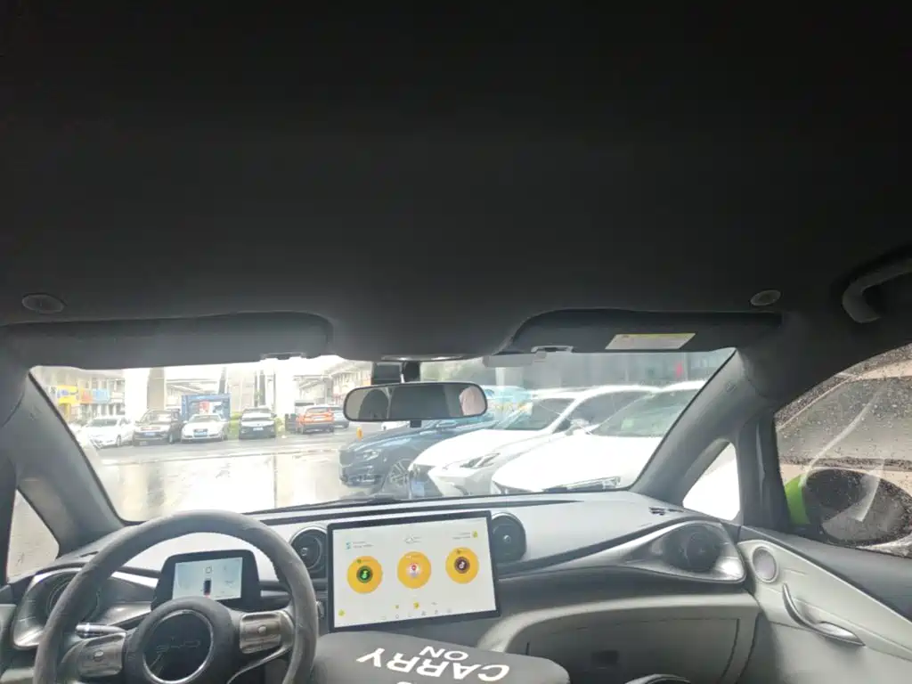BYD Dolphin 2021 2021 405km Freedom Edition